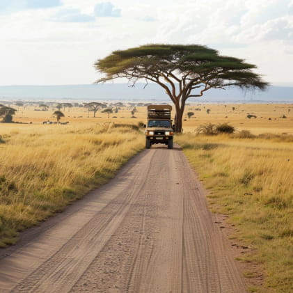 destination picture